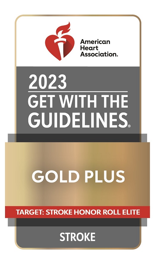 Get With The Guidelines® - Stroke Gold Level Achievement Award