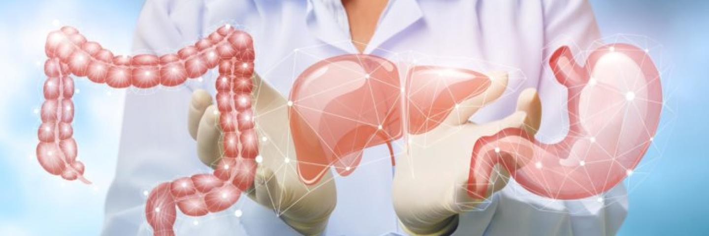 Gastroenterology concept