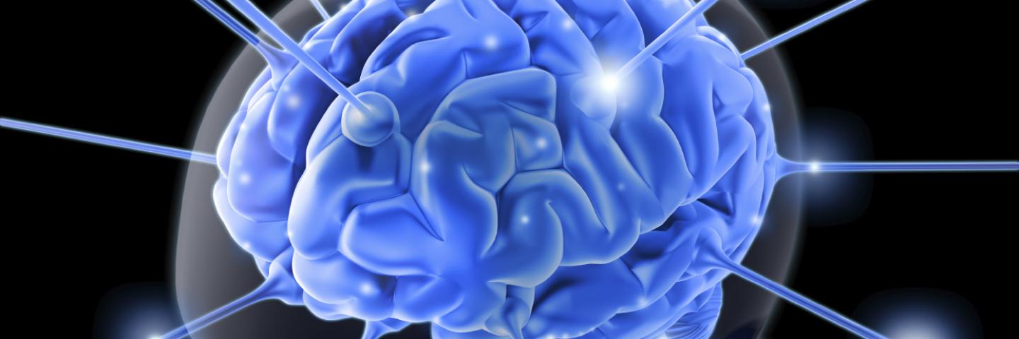Brain signals 