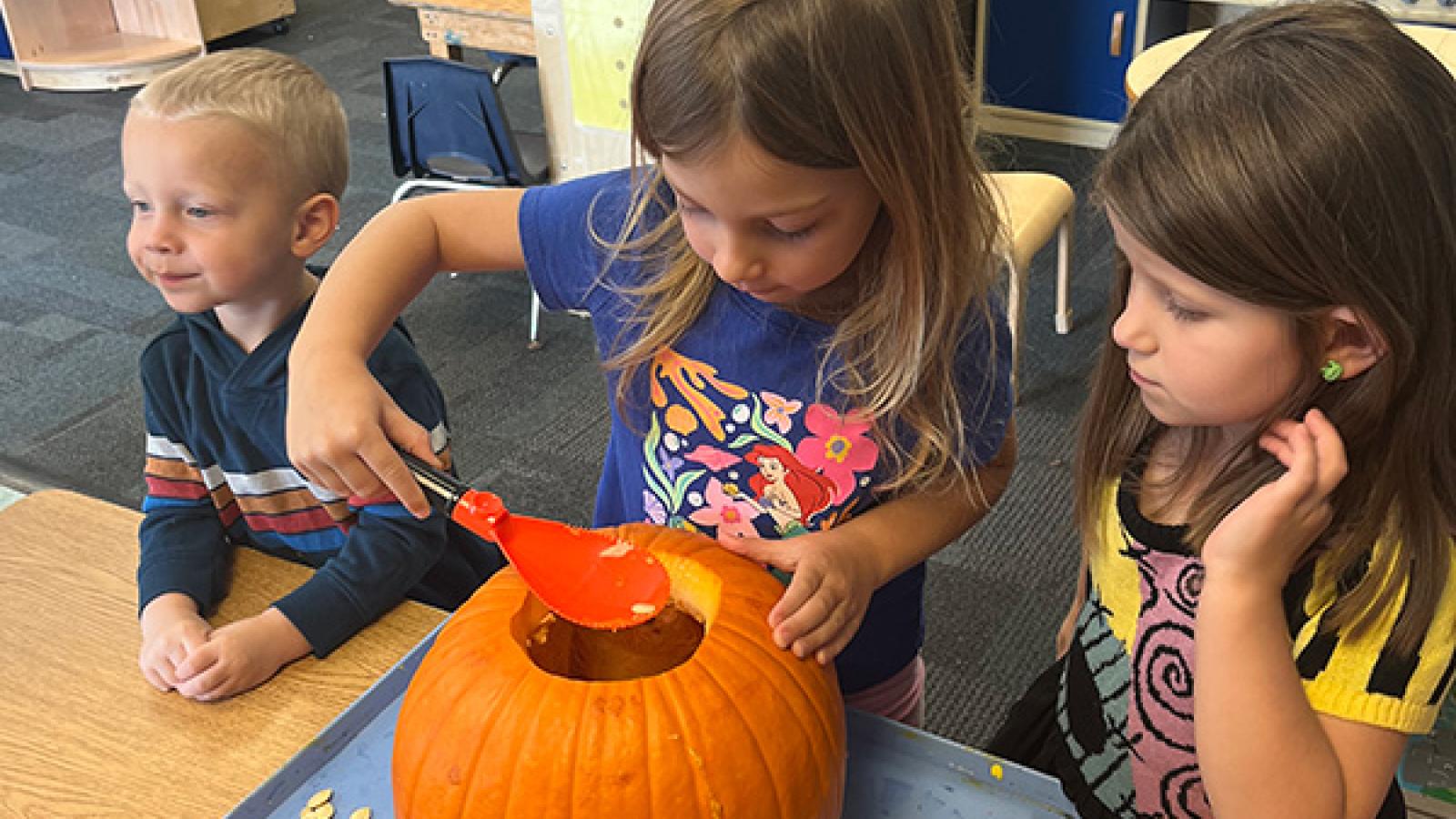 Pumpkin Carving - Scooping
