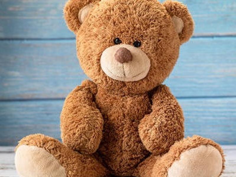 Stuffed Teddy Bear sitting in front of blue wooden background