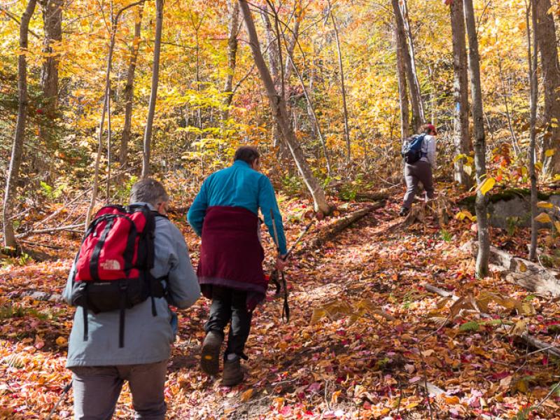 Hikers on a fall trail