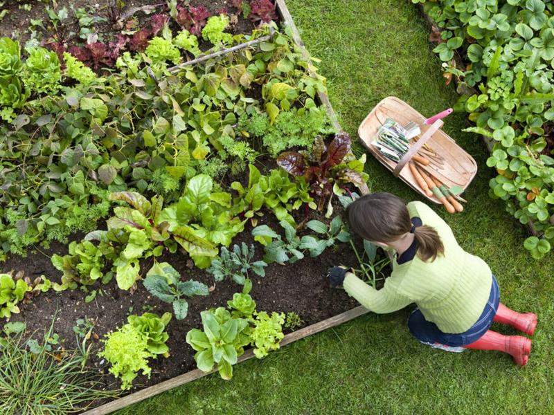 woman gardening