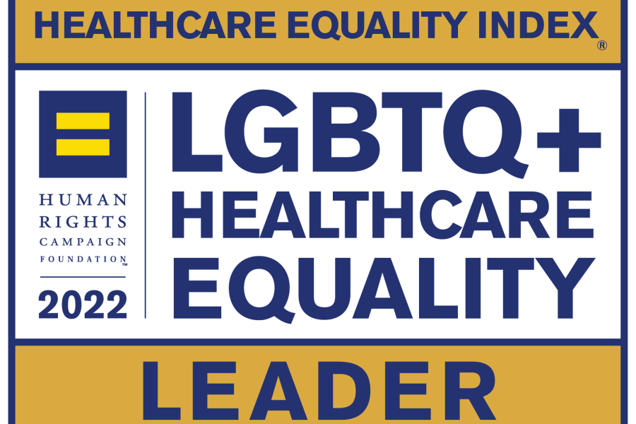 Logo HEI Leaders LGBTQ+