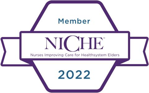 Nurses Improving Care to Healthsystem Elders - NICHE logo
