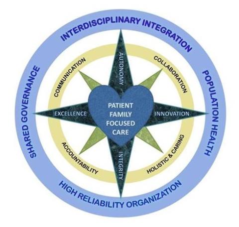 Compass that depicts  the Nursing Practice Model