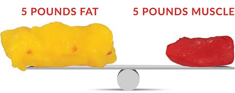 5 pounds of fat vs. muscle on scale