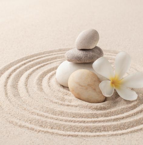 Rocks on sand with flower - mental wellness