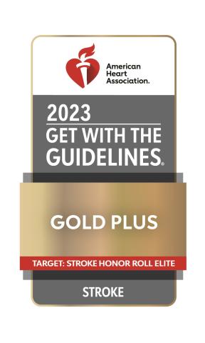 Gold Stroke Award Logo